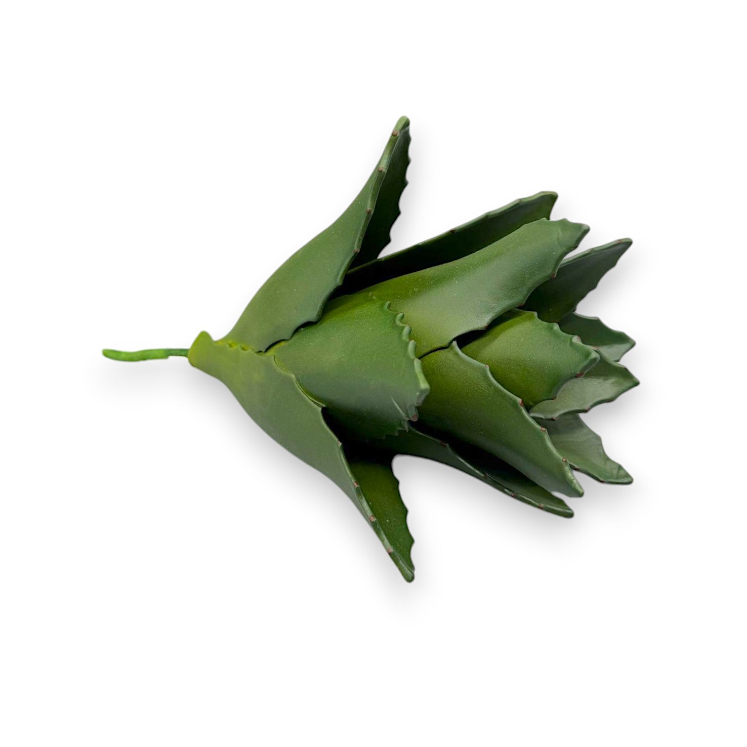 AGAVE PICK 12"