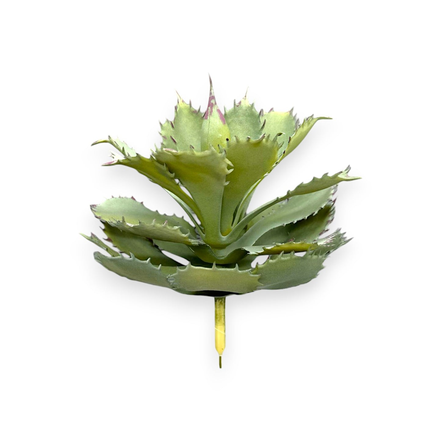 LARGE SUCCULENT 10"