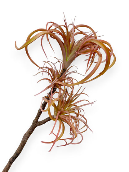 TALL TILLANDSIA BRANCH X3 20"