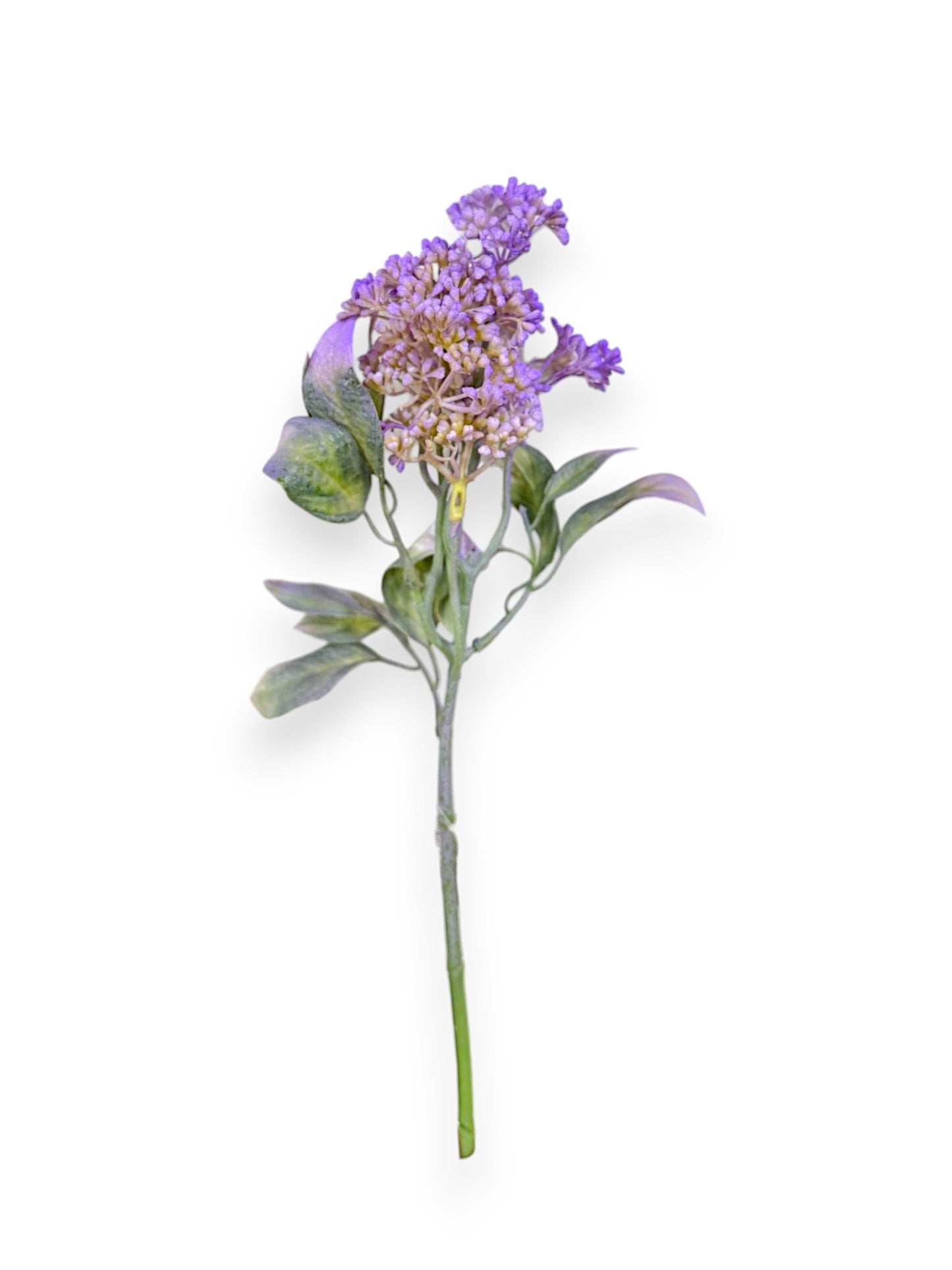 WILD FLOWER STEM 12"