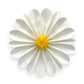 PAPER FLOWER 12"