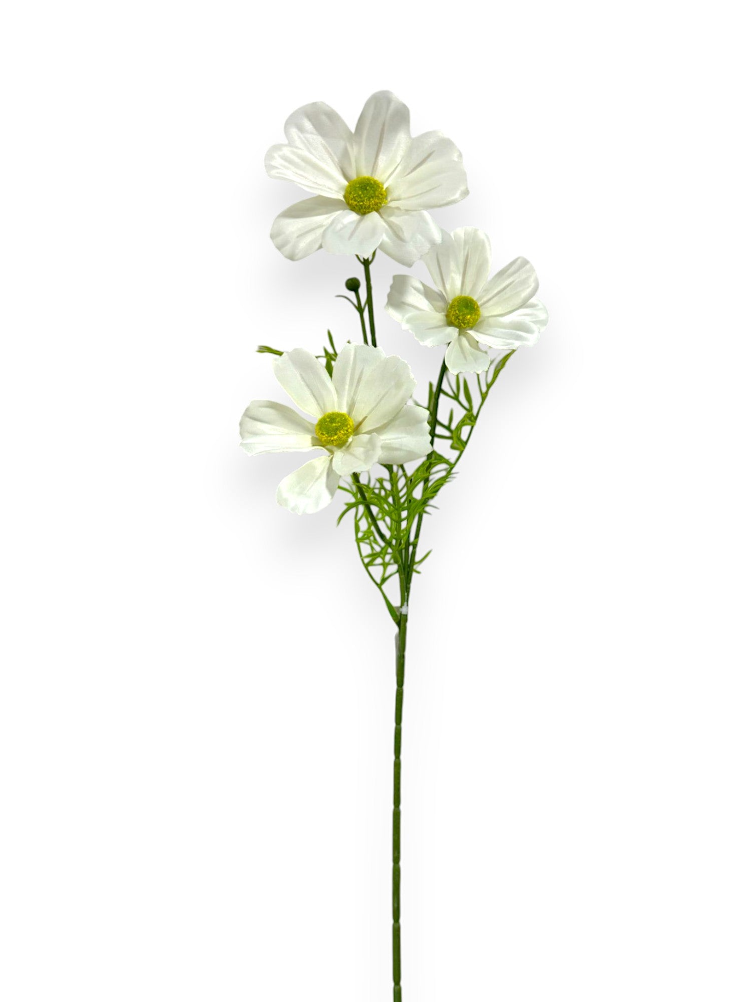 COSMOS SPRAY 28"