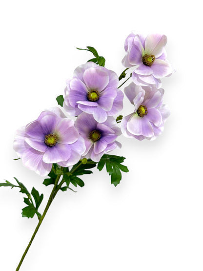 POPPY ANEMONE SPRAY W/5FLS