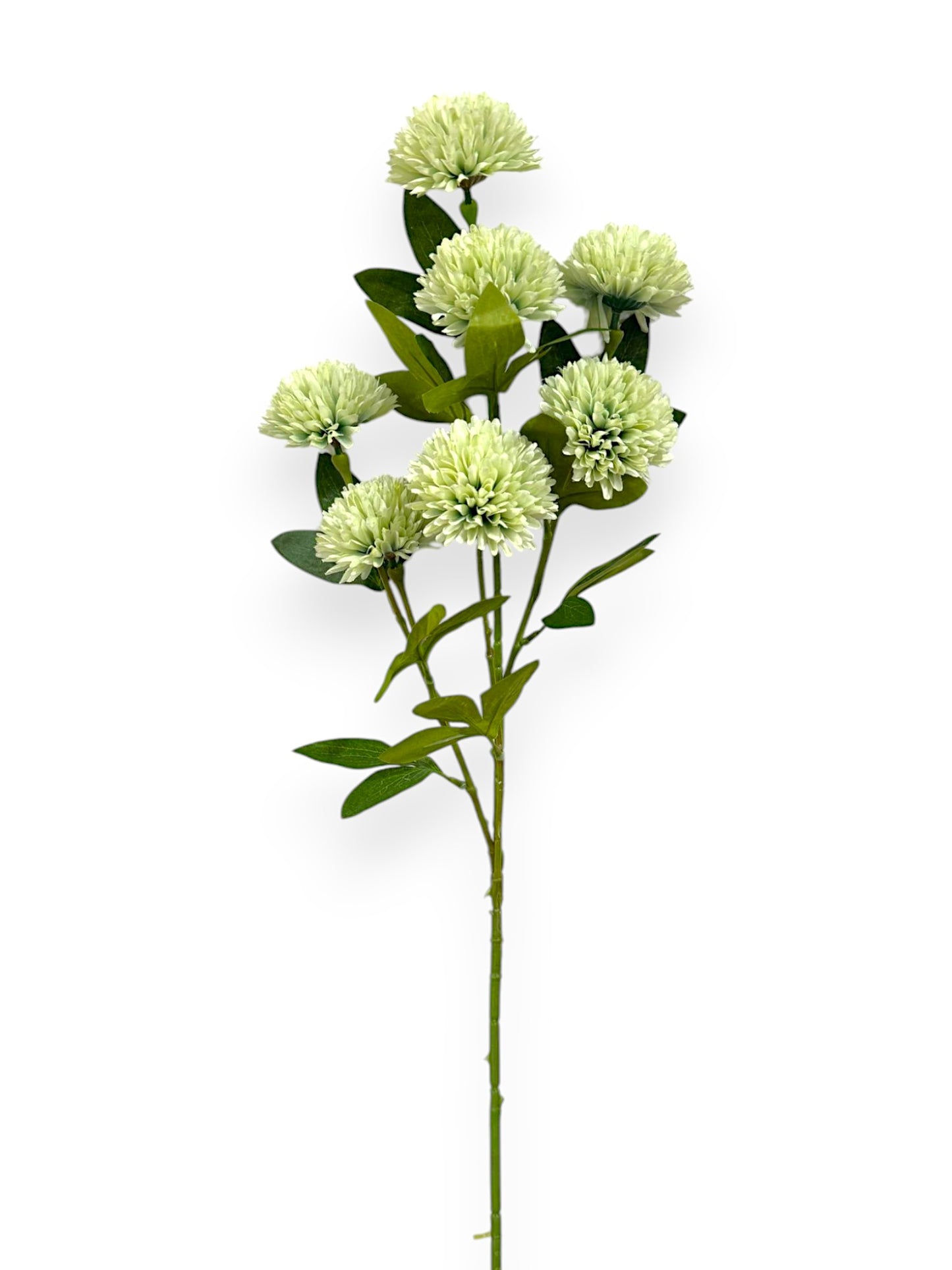 BALL CHRYSANTHEMUMX7 29"