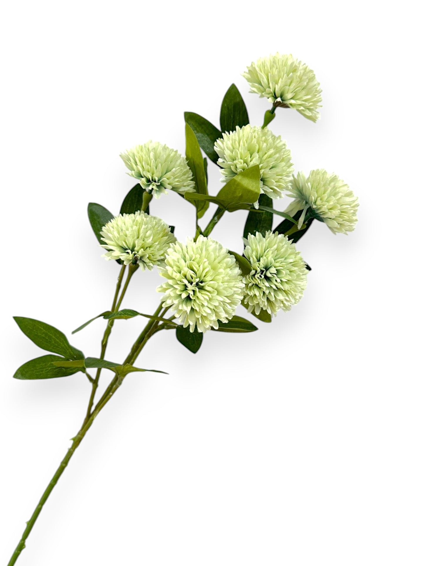 BALL CHRYSANTHEMUMX7 29"