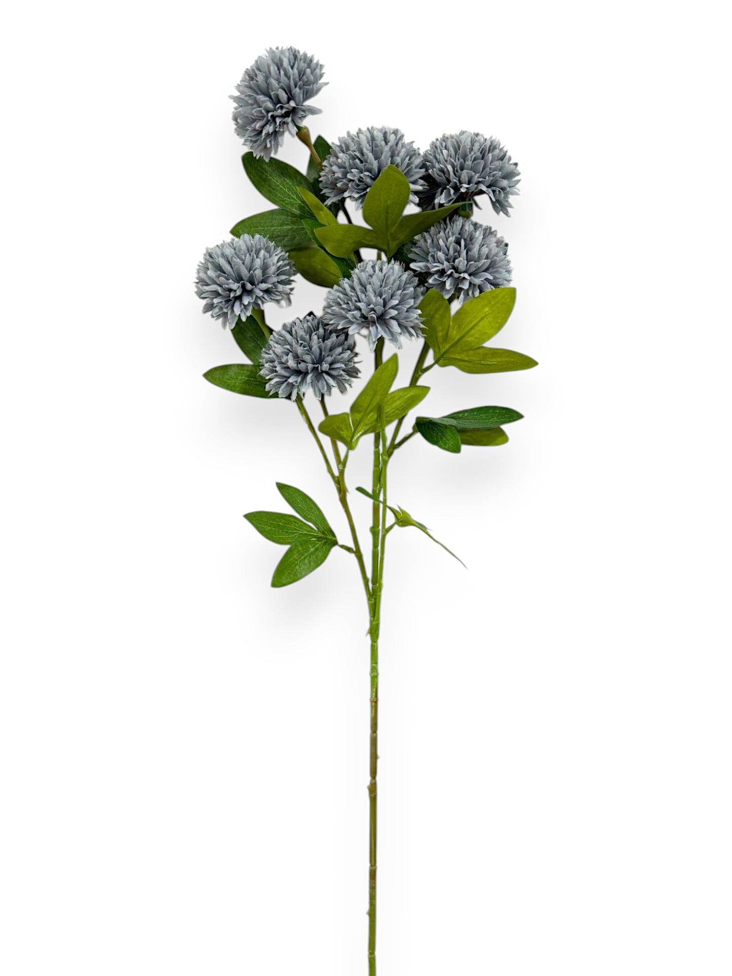 BALL CHRYSANTHEMUMX7 29"