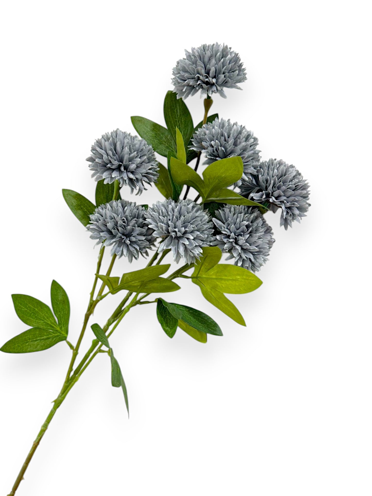 BALL CHRYSANTHEMUMX7 29"
