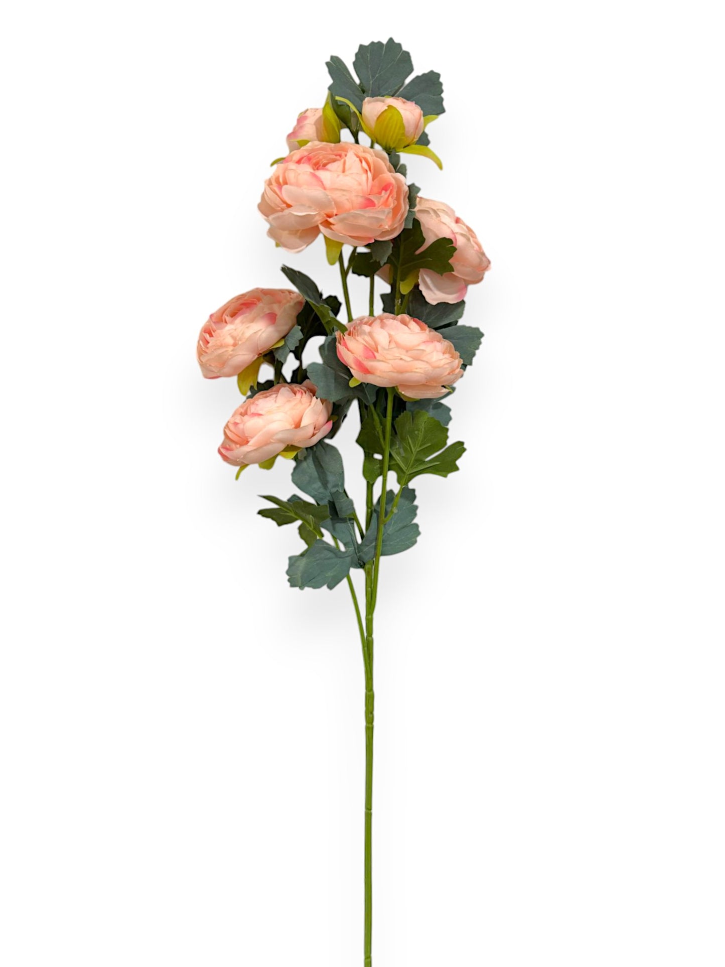 RANUNCULUS SPRAY 29"