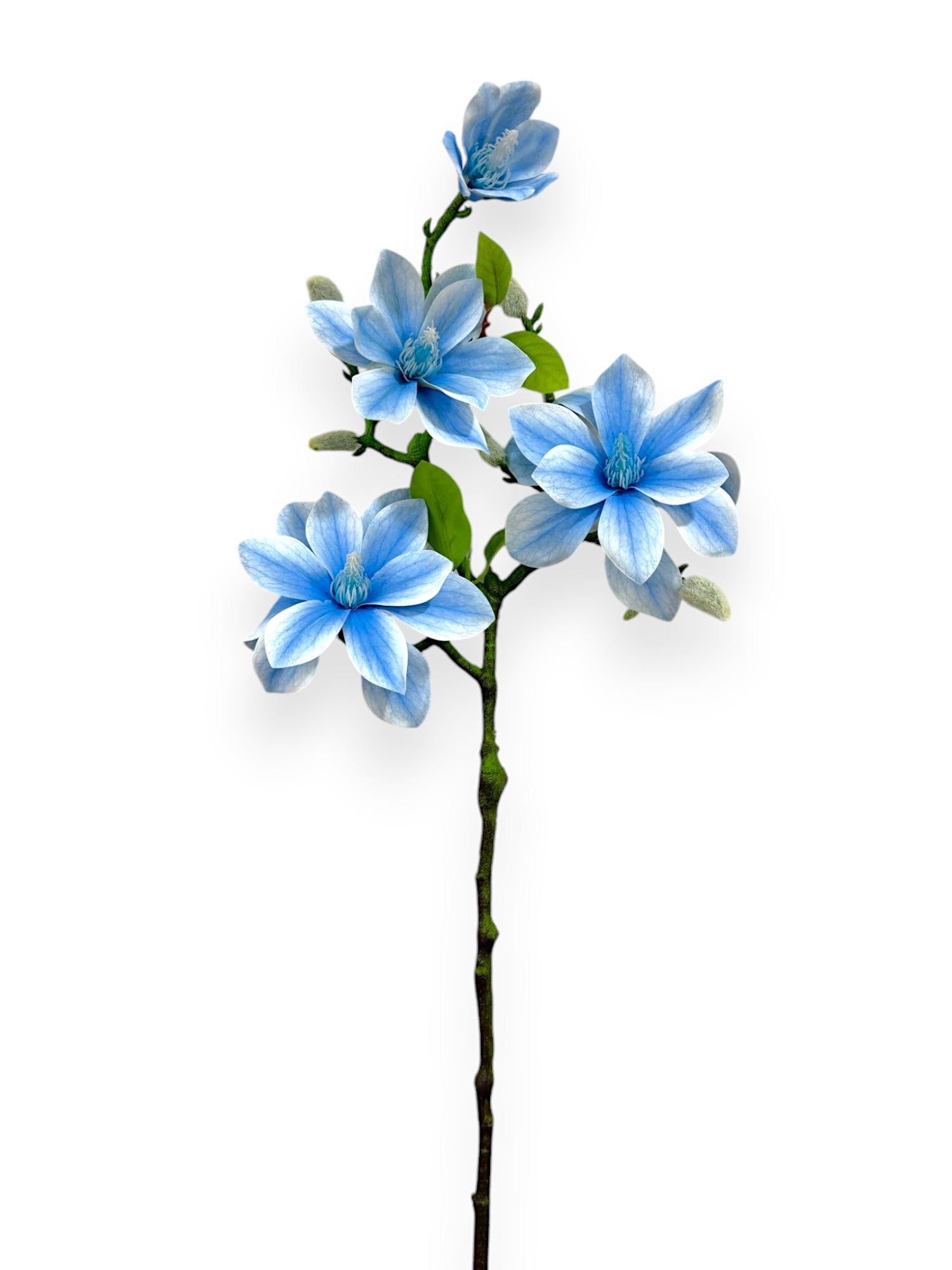 MAGNOLIA SPRAY 22"