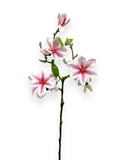 MAGNOLIA SPRAY 22"