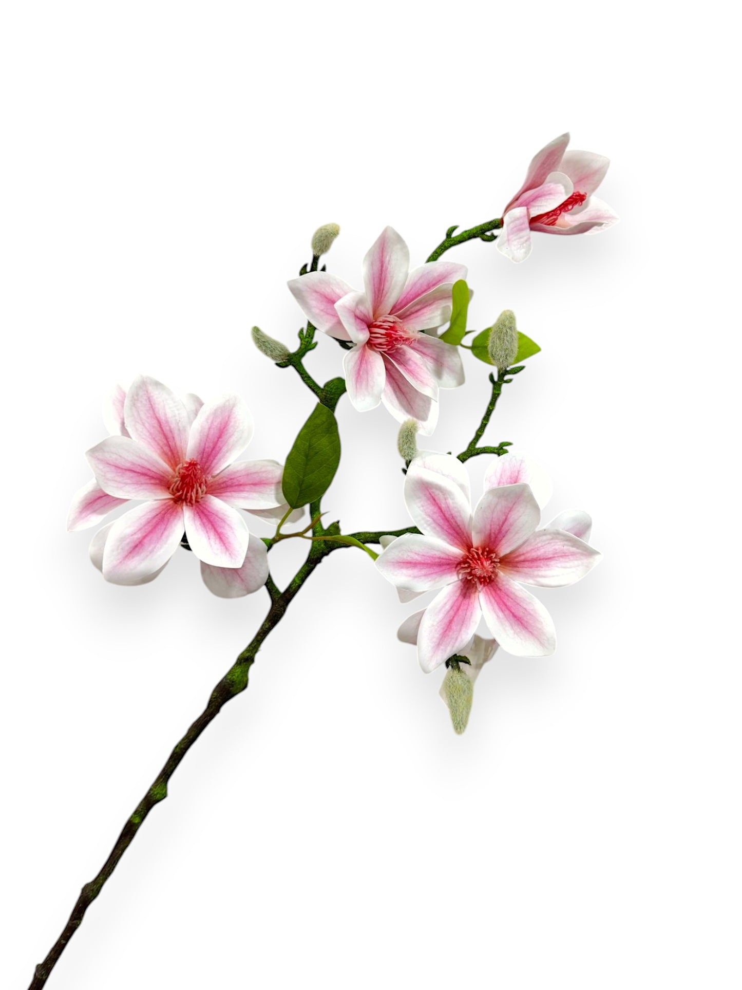 MAGNOLIA SPRAY 22"