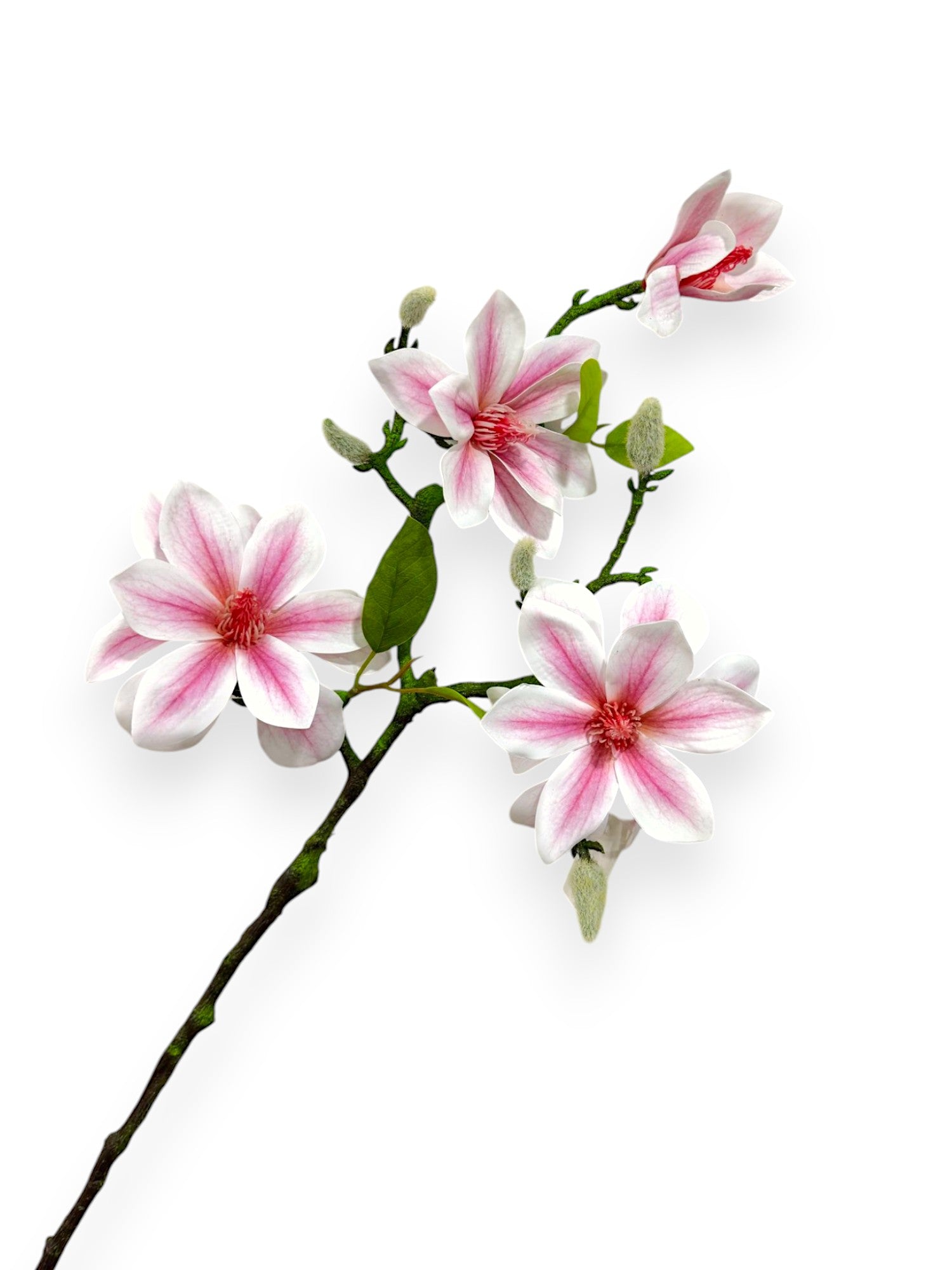 MAGNOLIA SPRAY 22"