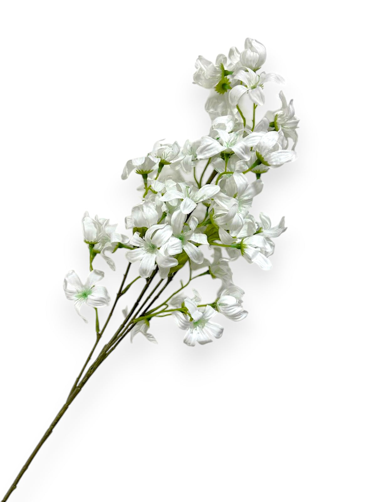 LILAC SPRX5 32"