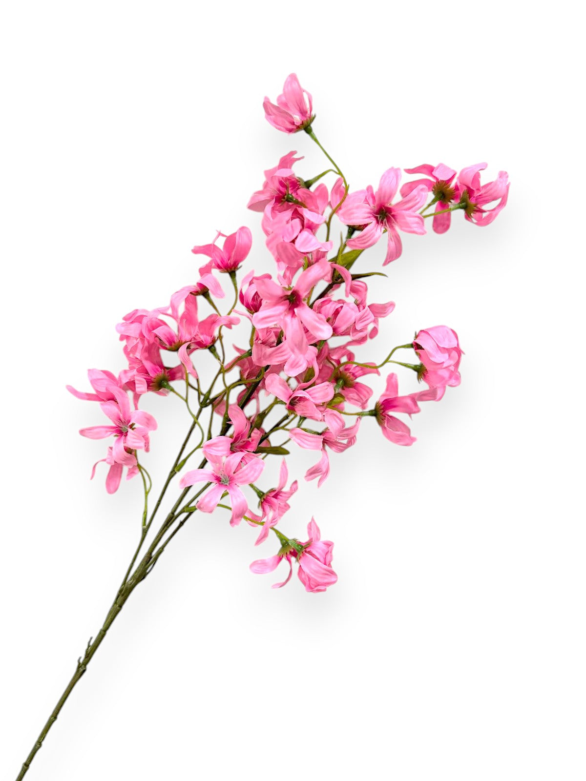 LILAC SPRX5 32"