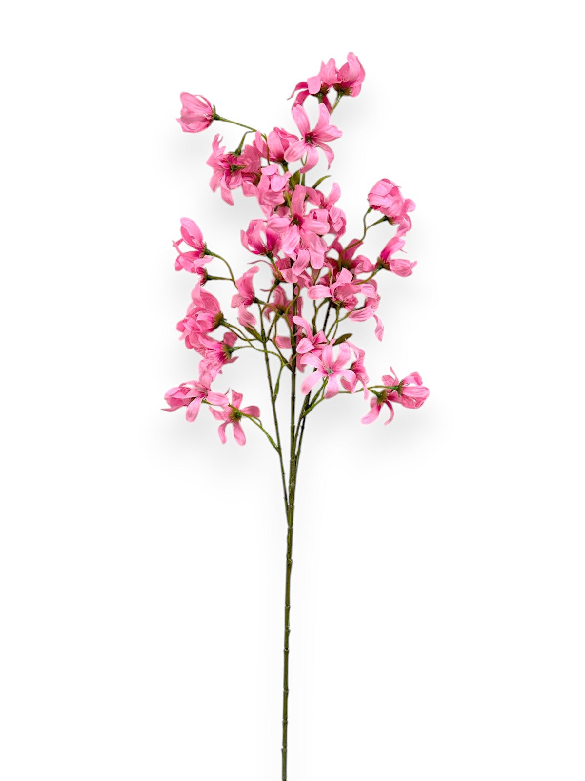 LILAC SPRX5 32"