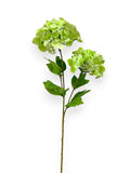 HYDRANGEA SPRAYX2 20"