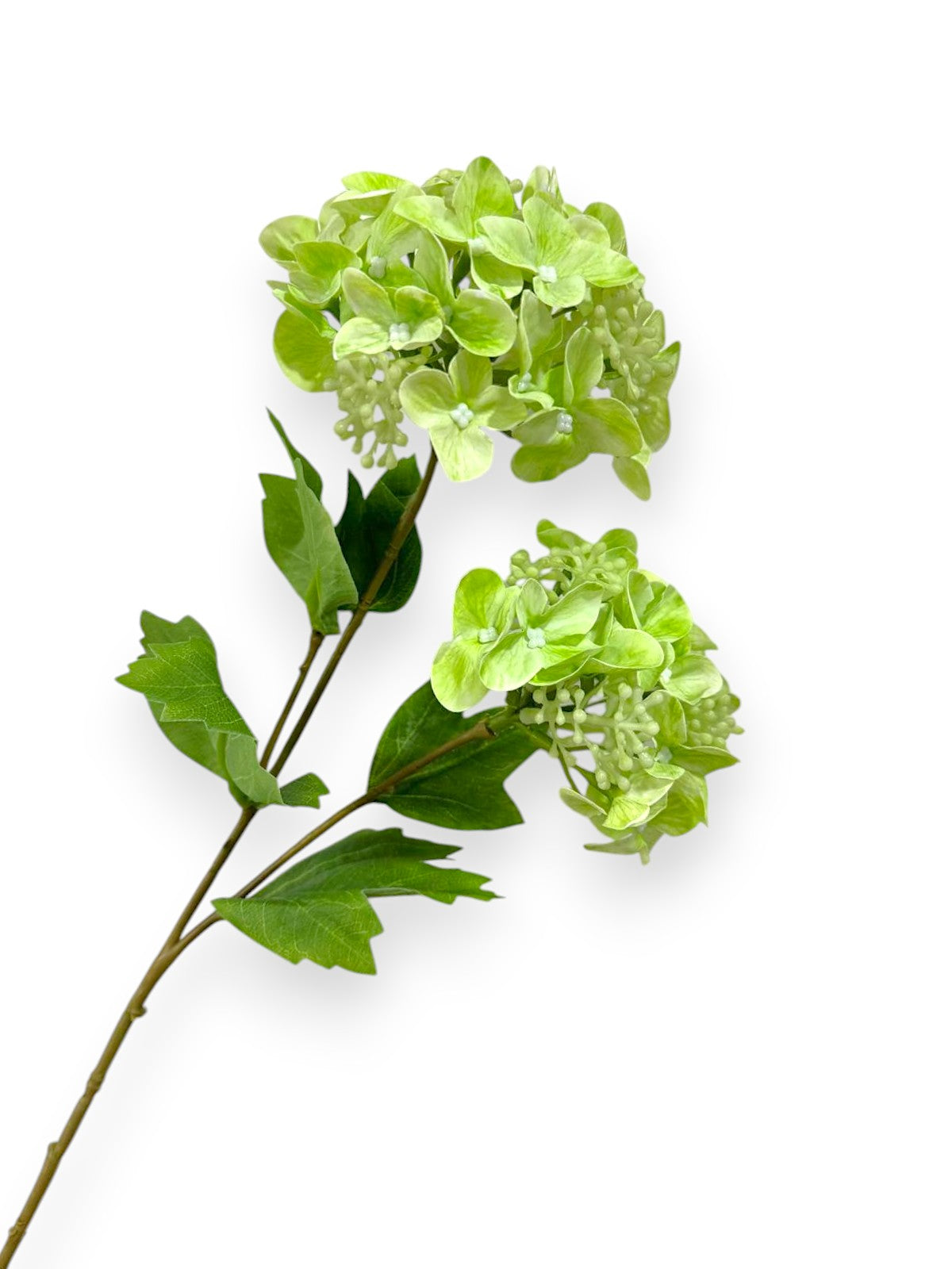 HYDRANGEA SPRAYX2 20"