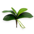 ORCHID LEAF 9"