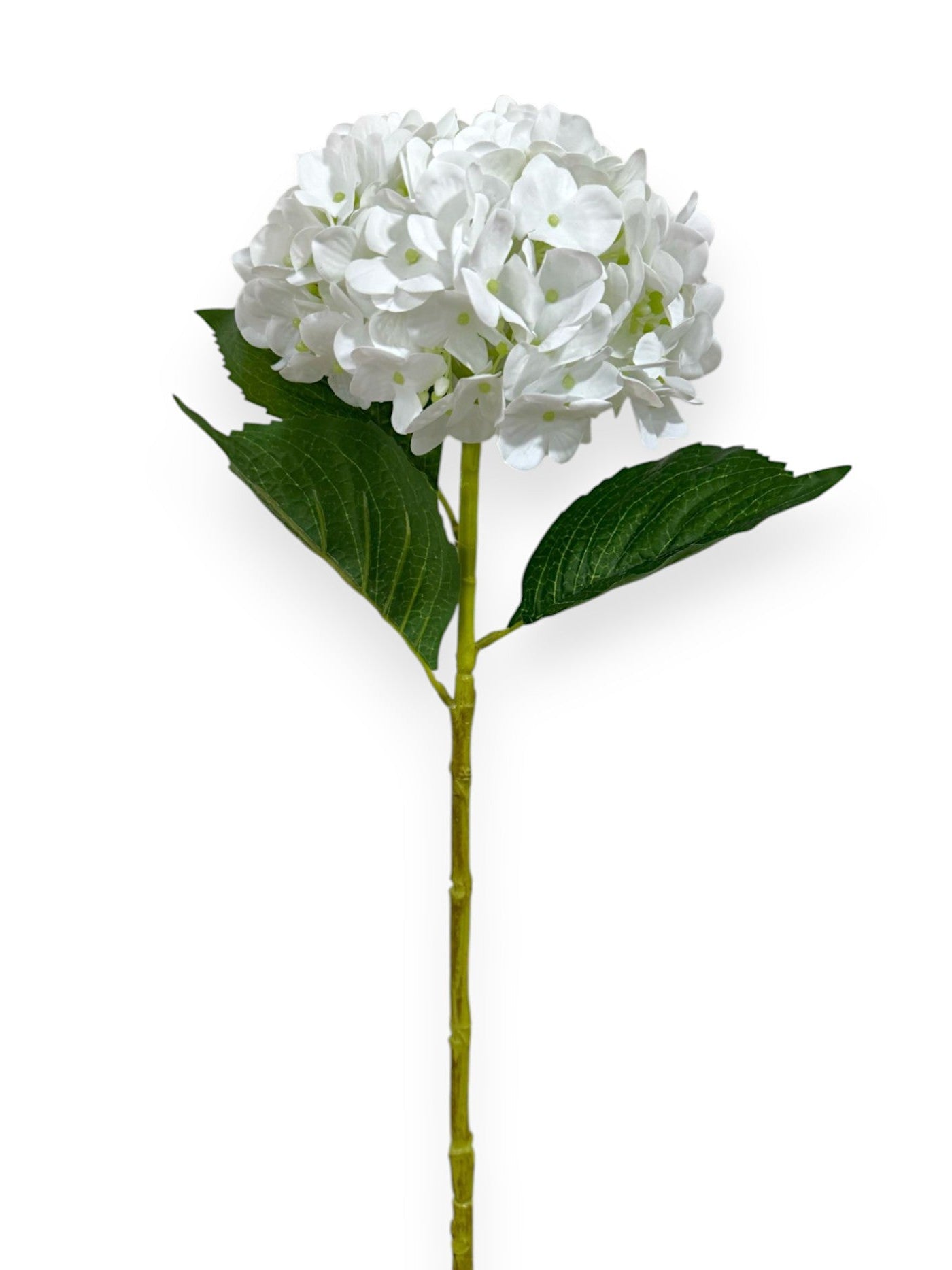 HYDRANGEA SPRAYX1 19" NAT.TOUCH