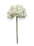 HYDRANGEA SHORT STEM 19"