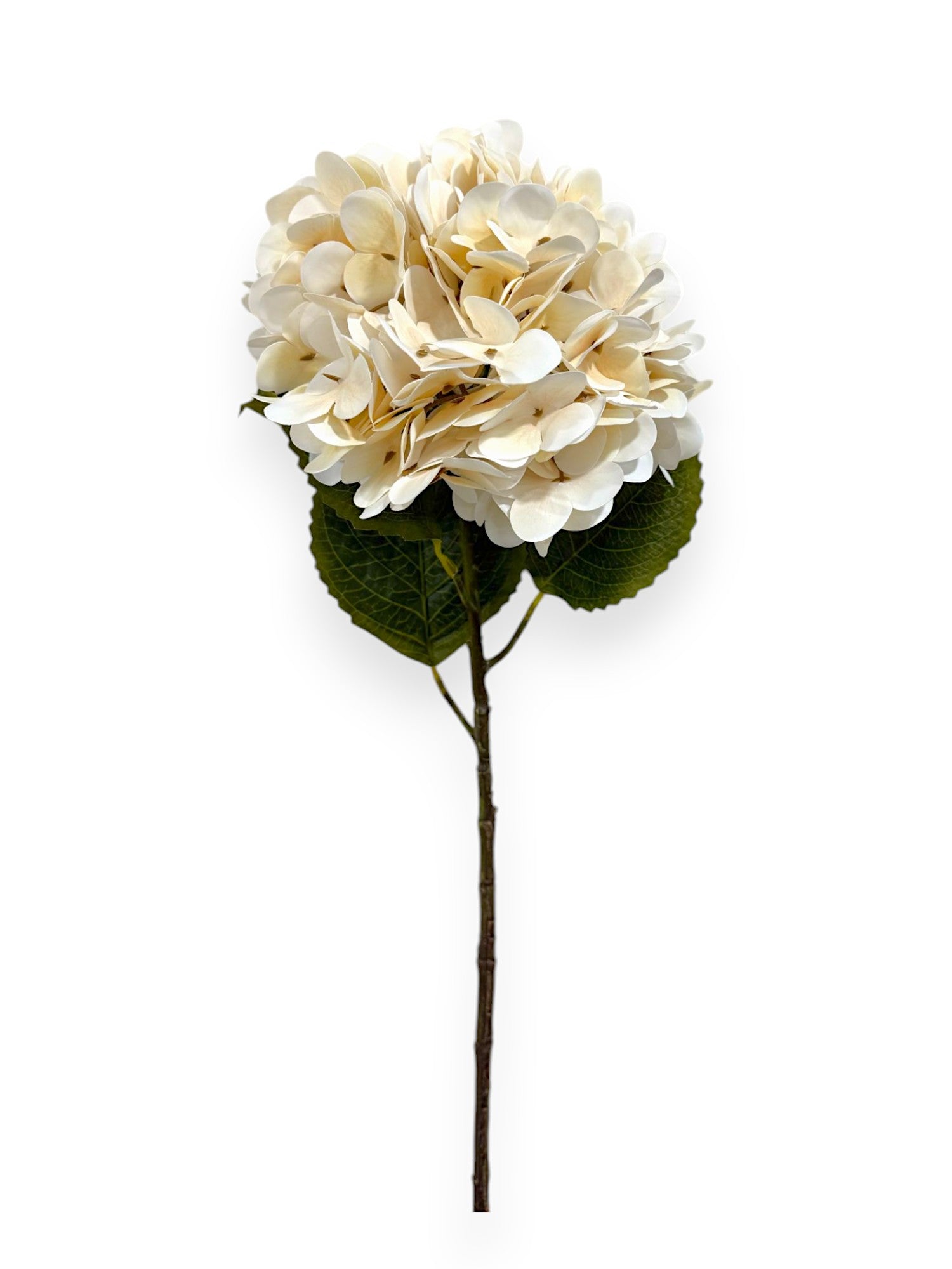 HYDRANGEA STEM 23"