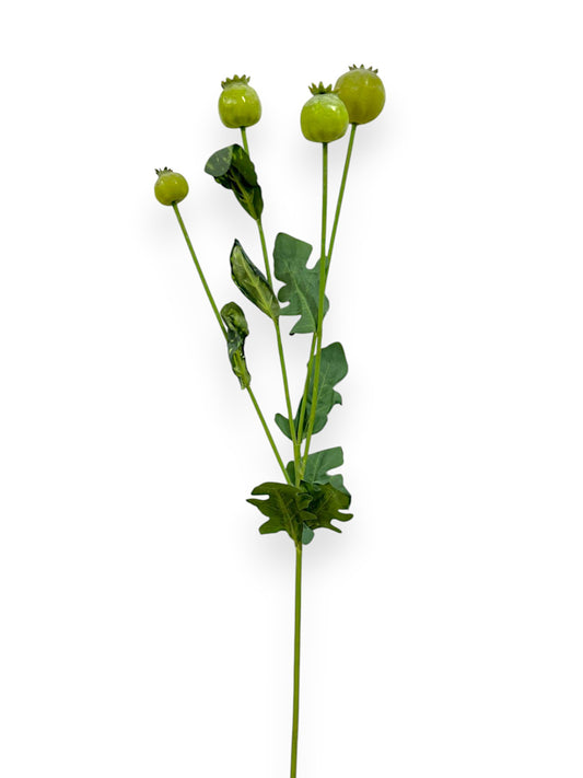 POPPY FRUITS STEM 24"