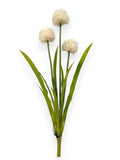POM POM ALLUIM BUSH 24"