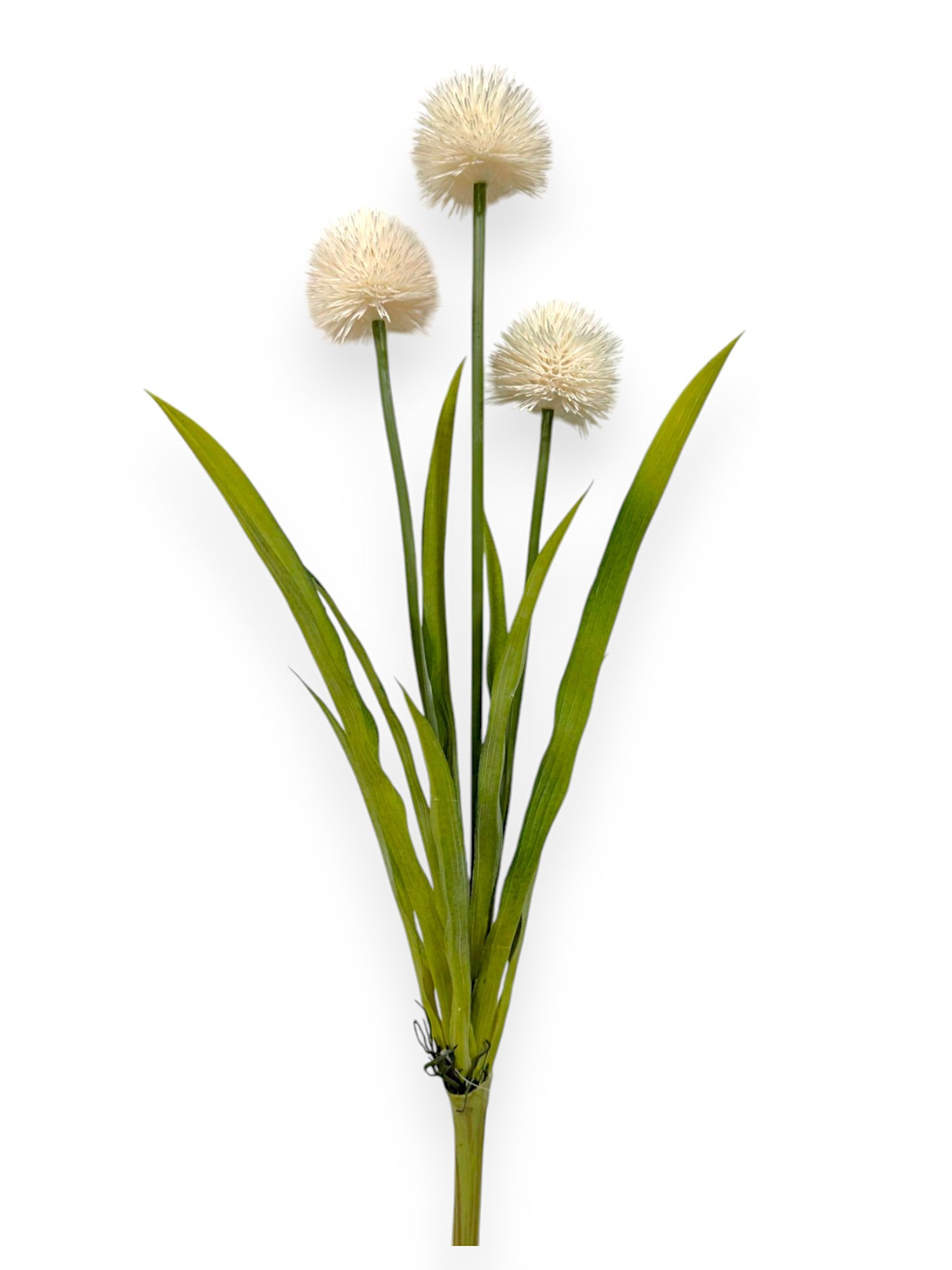 POM POM ALLUIM BUSH 24"