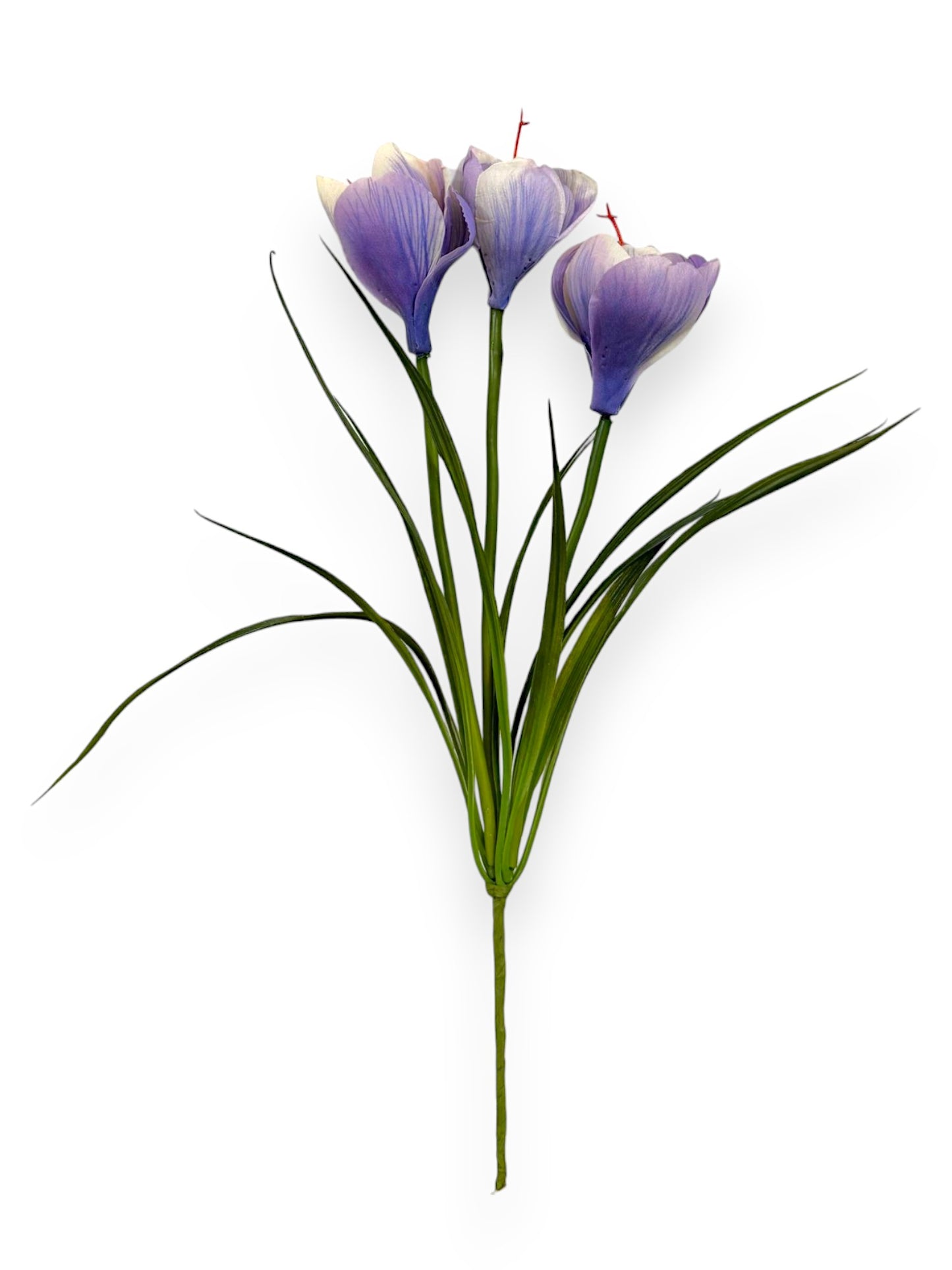 RT. CROCUS X3 13"