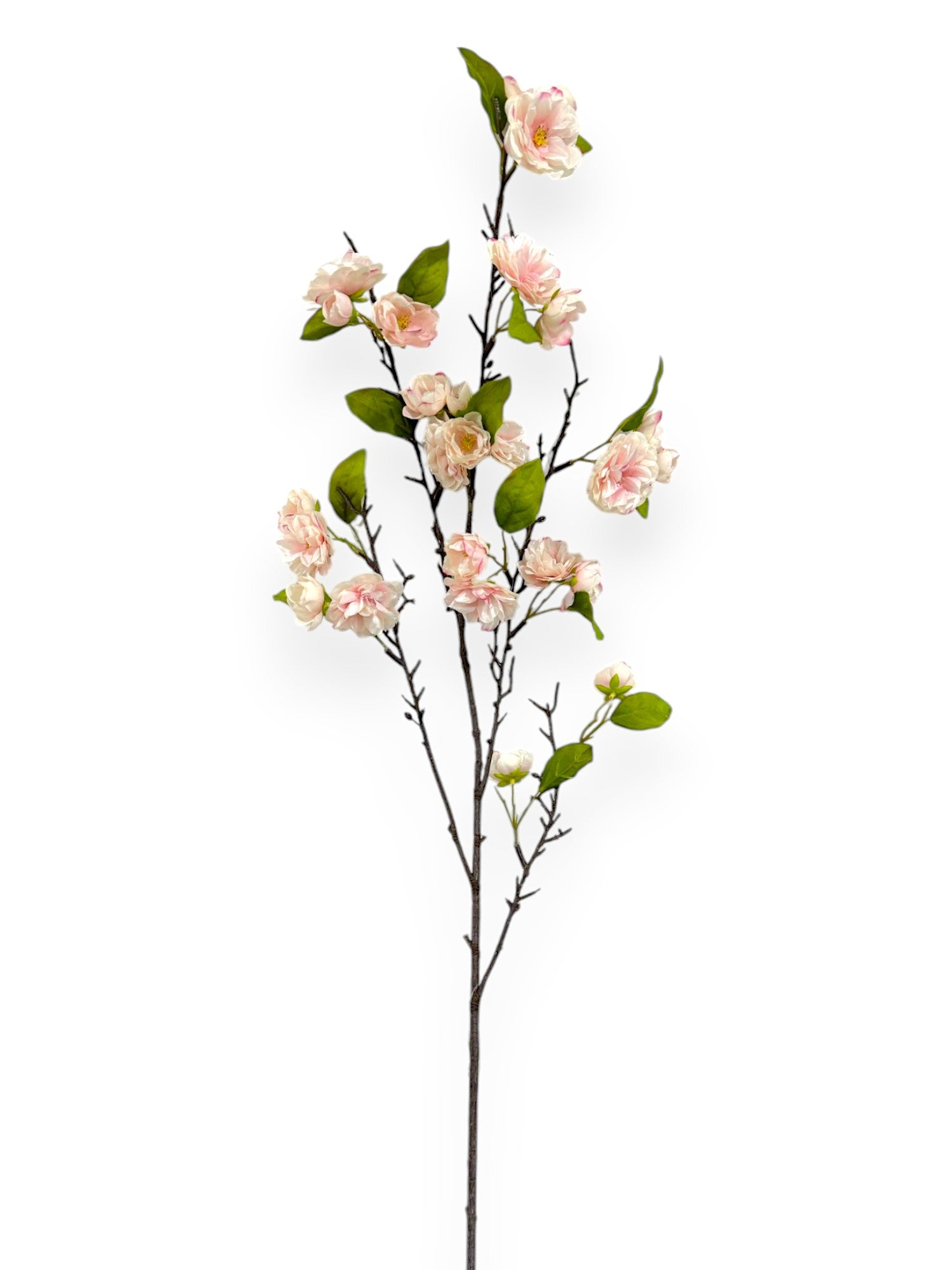 CHERRY BLOSSOMS 40"