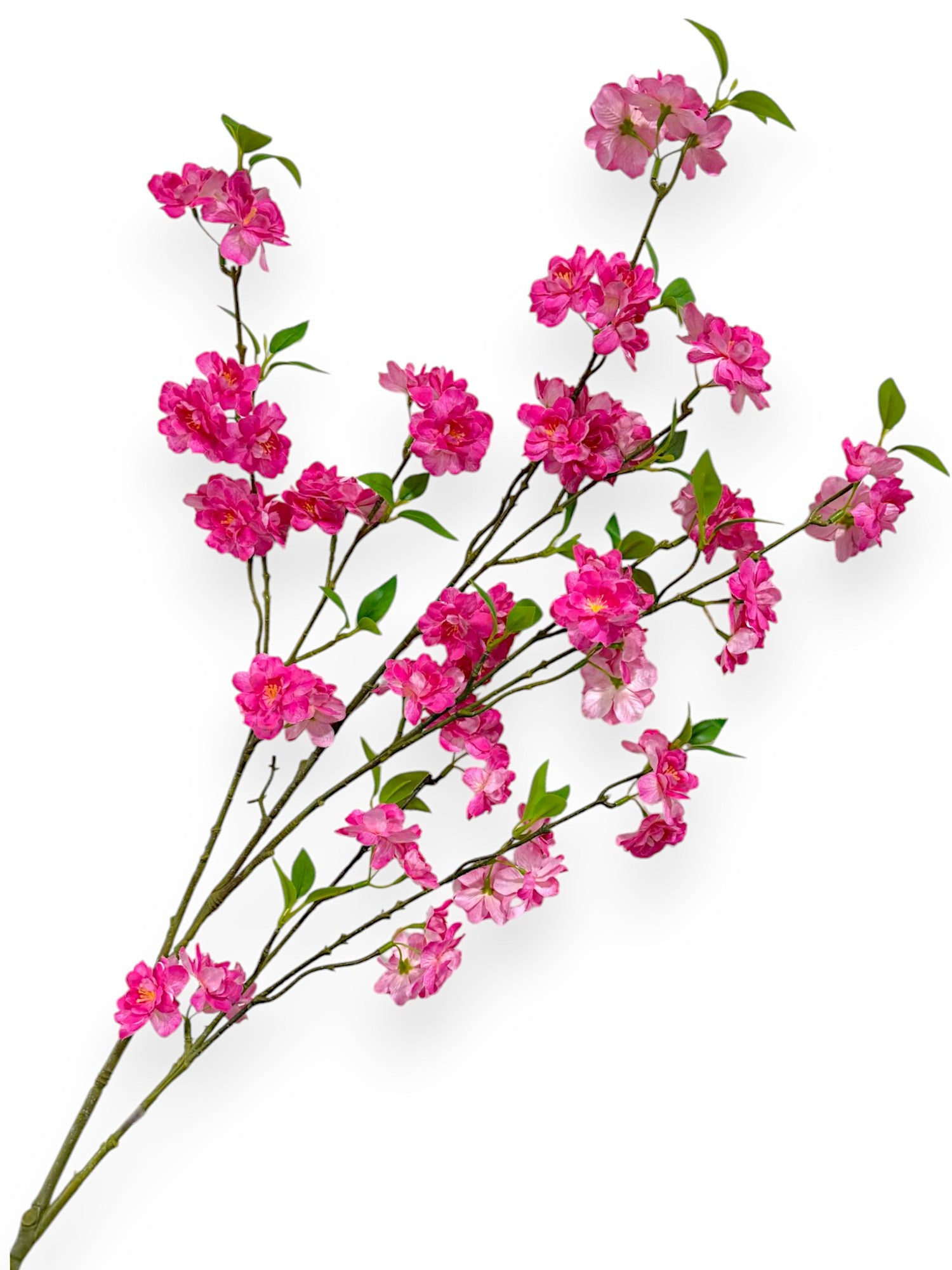 CHERRY BLOSSON BRANCH 48"