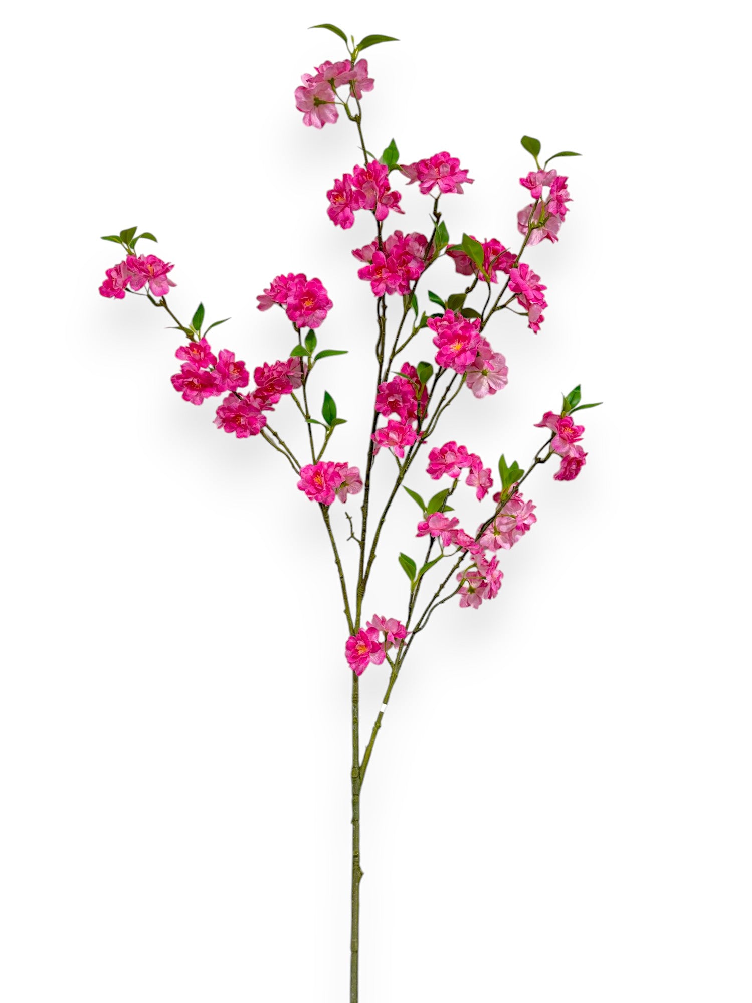 CHERRY BLOSSON BRANCH 48"