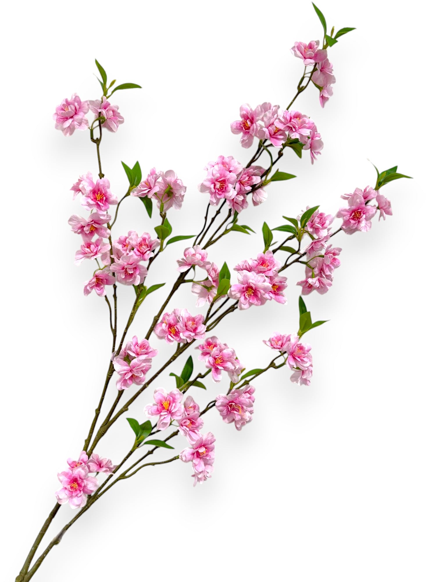 CHERRY BLOSSON BRANCH 48"