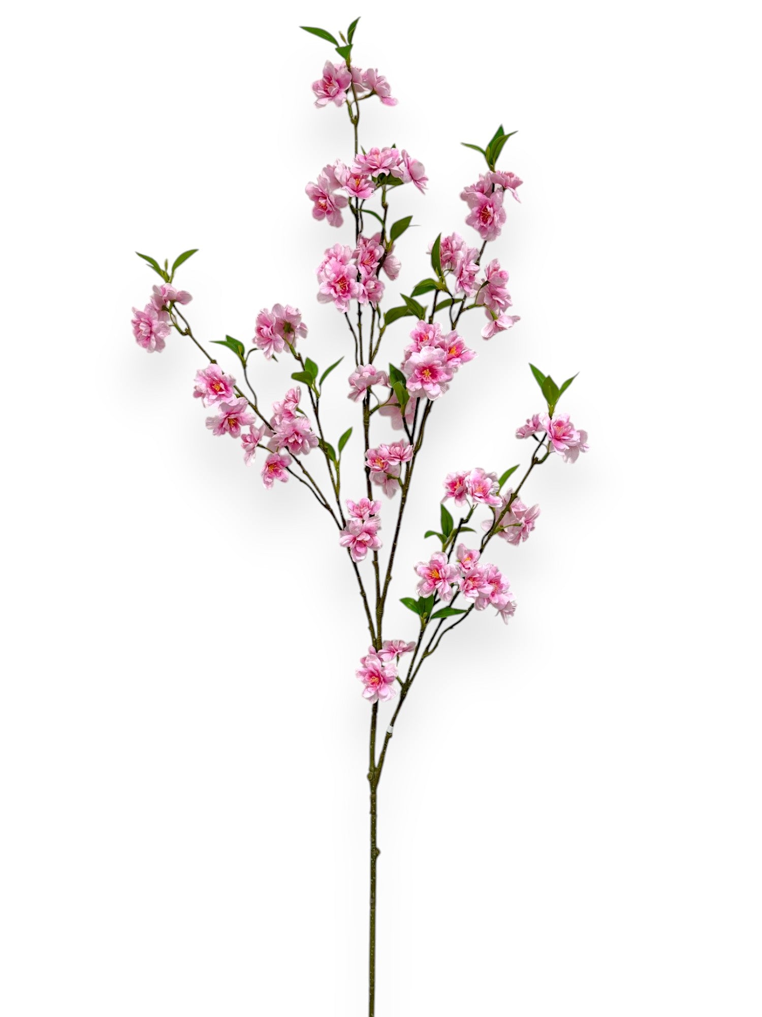 CHERRY BLOSSON BRANCH 48"