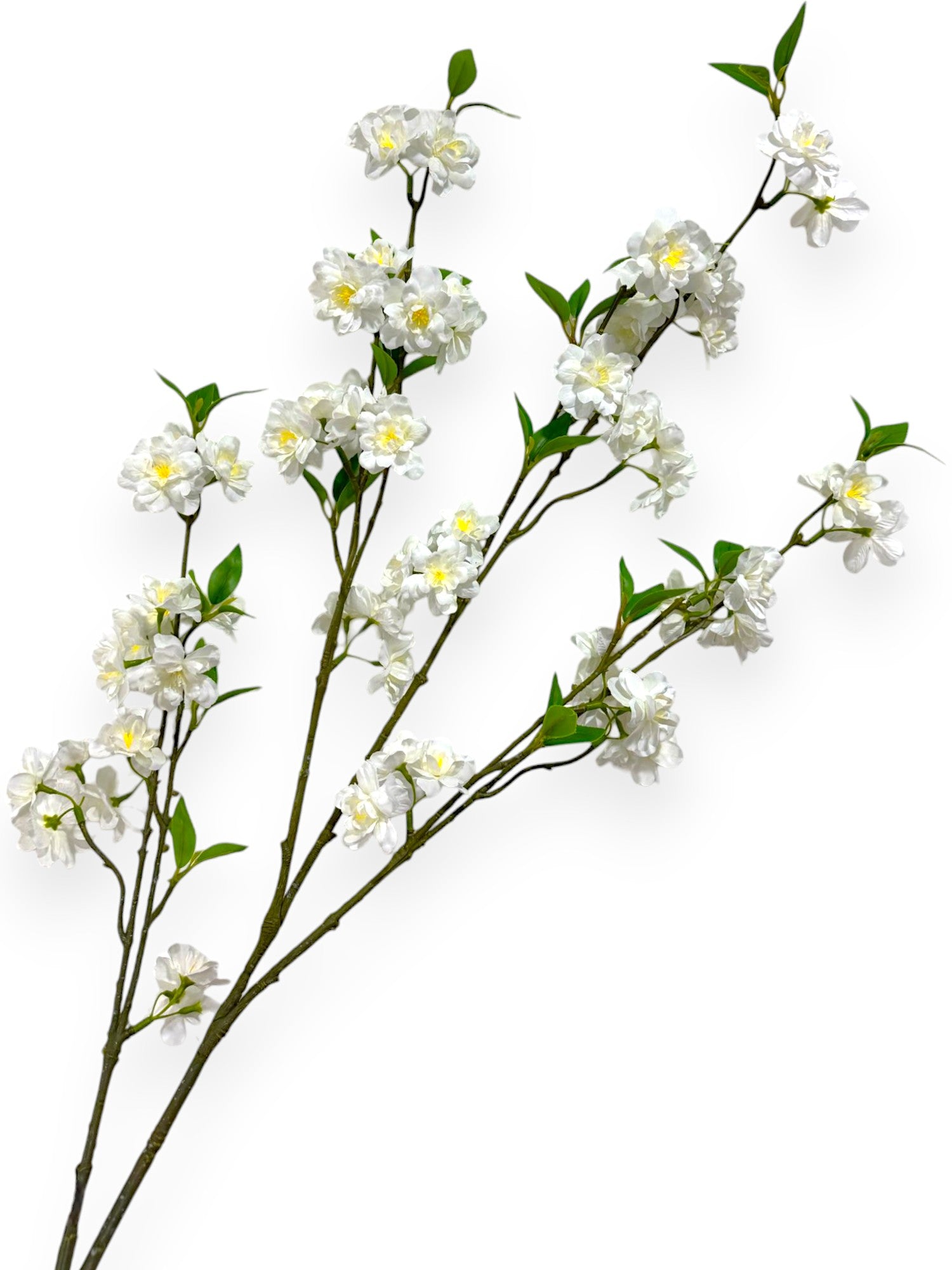 CHERRY BLOSSON BRANCH 48"