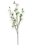 CHERRY BLOSSON BRANCH 48"