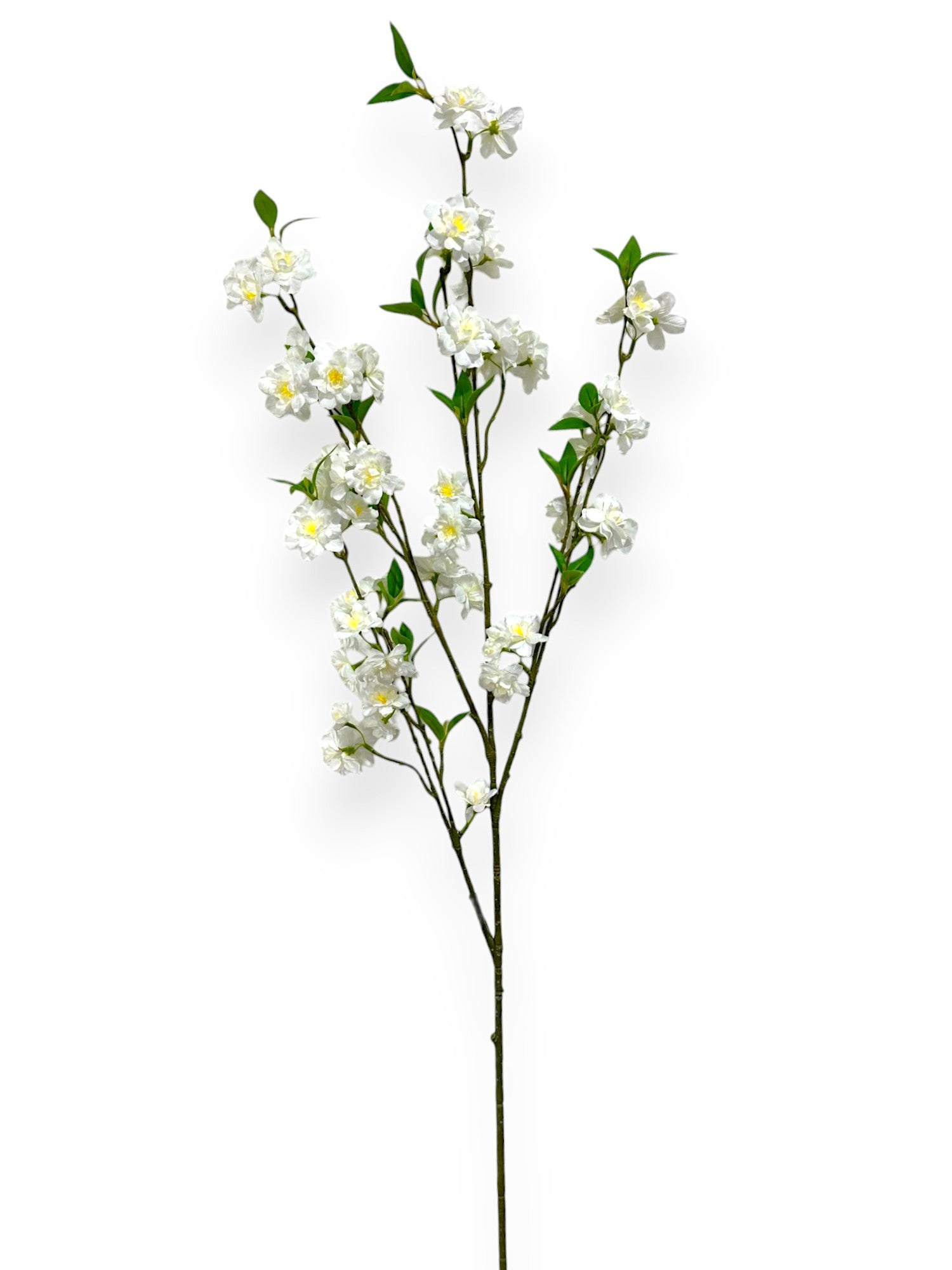 CHERRY BLOSSON BRANCH 48"