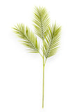 PALM LEAF X3 39"