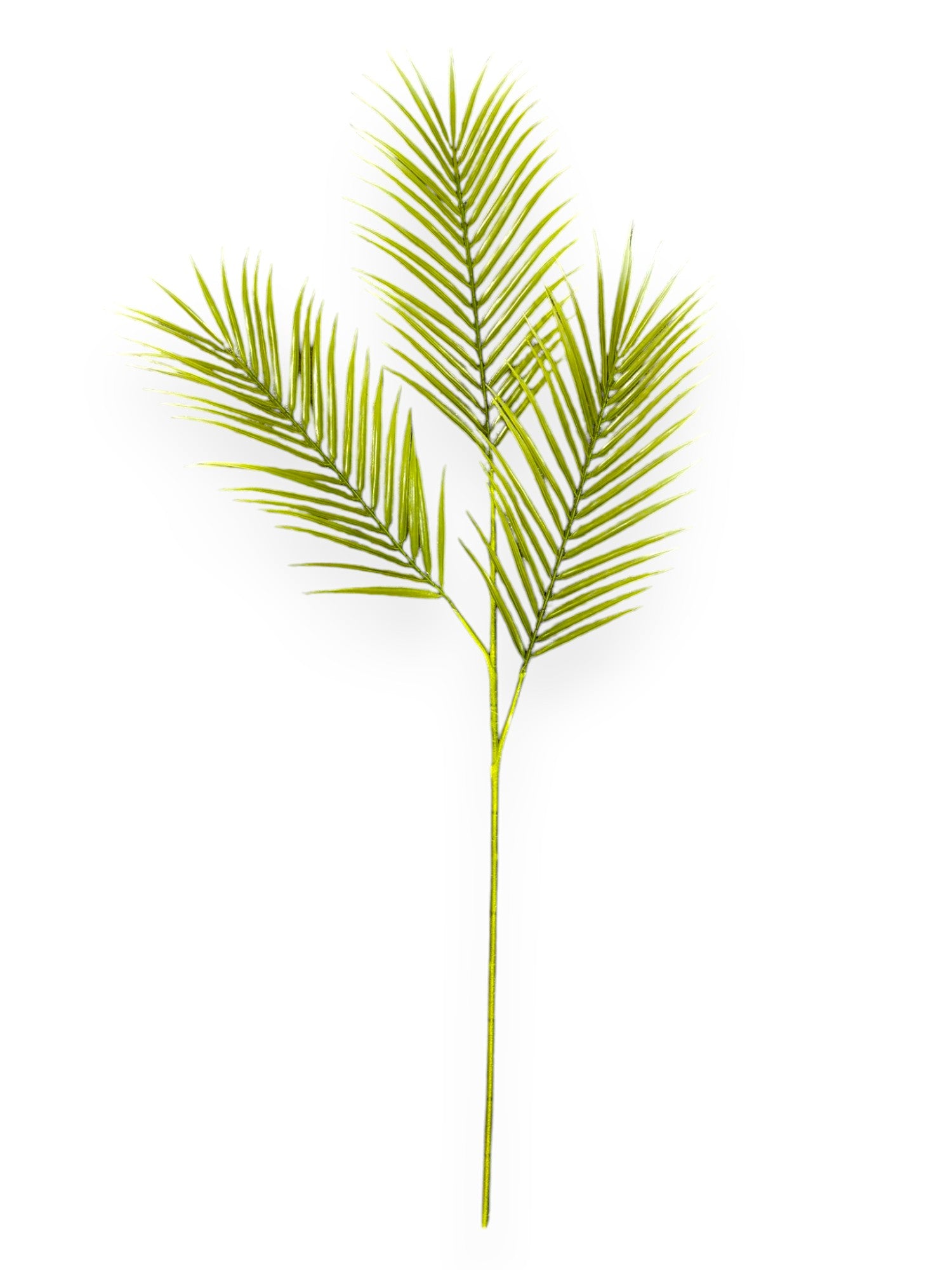 PALM LEAF X3 39"