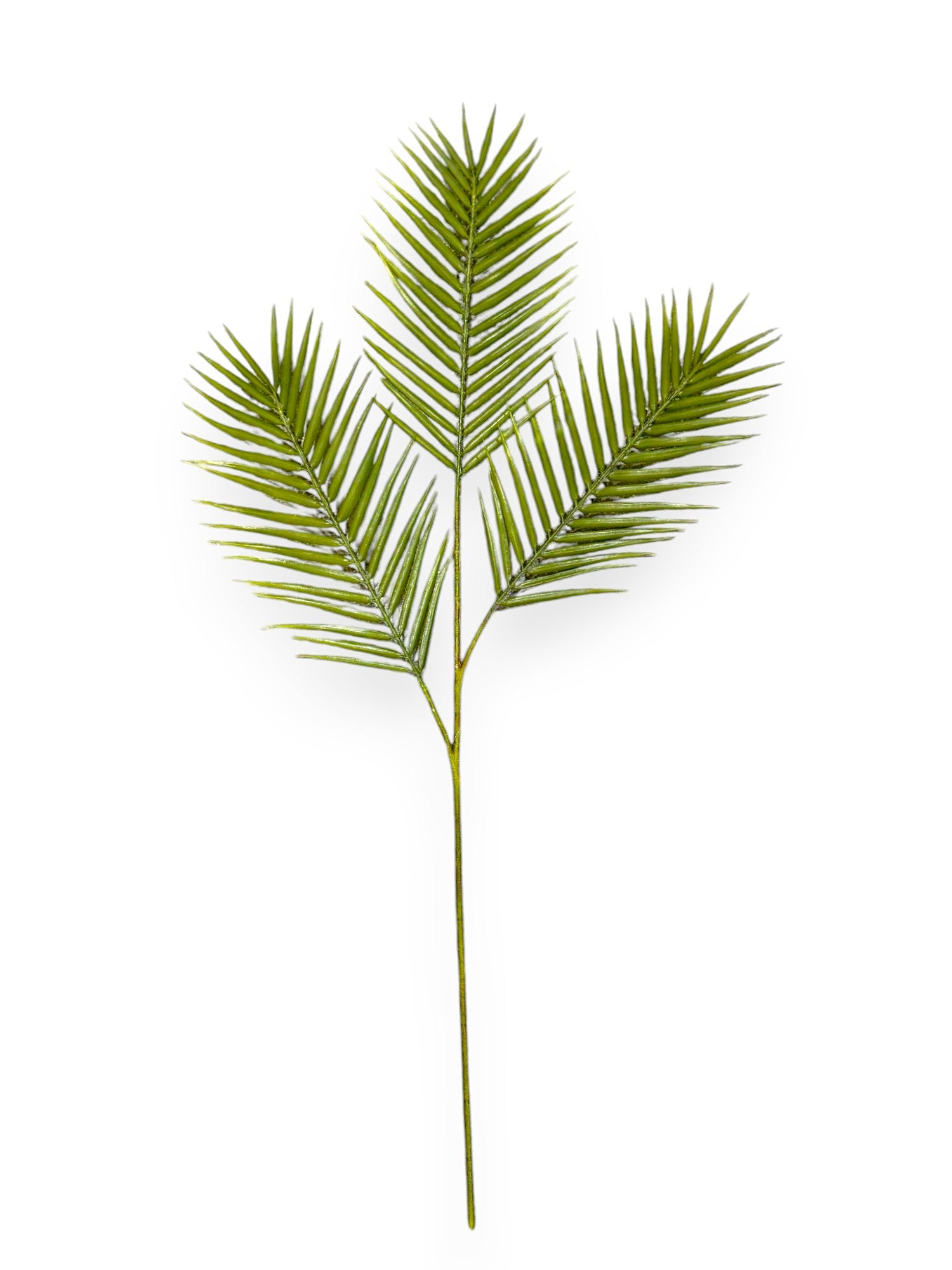 PALM LEAF X3 39"