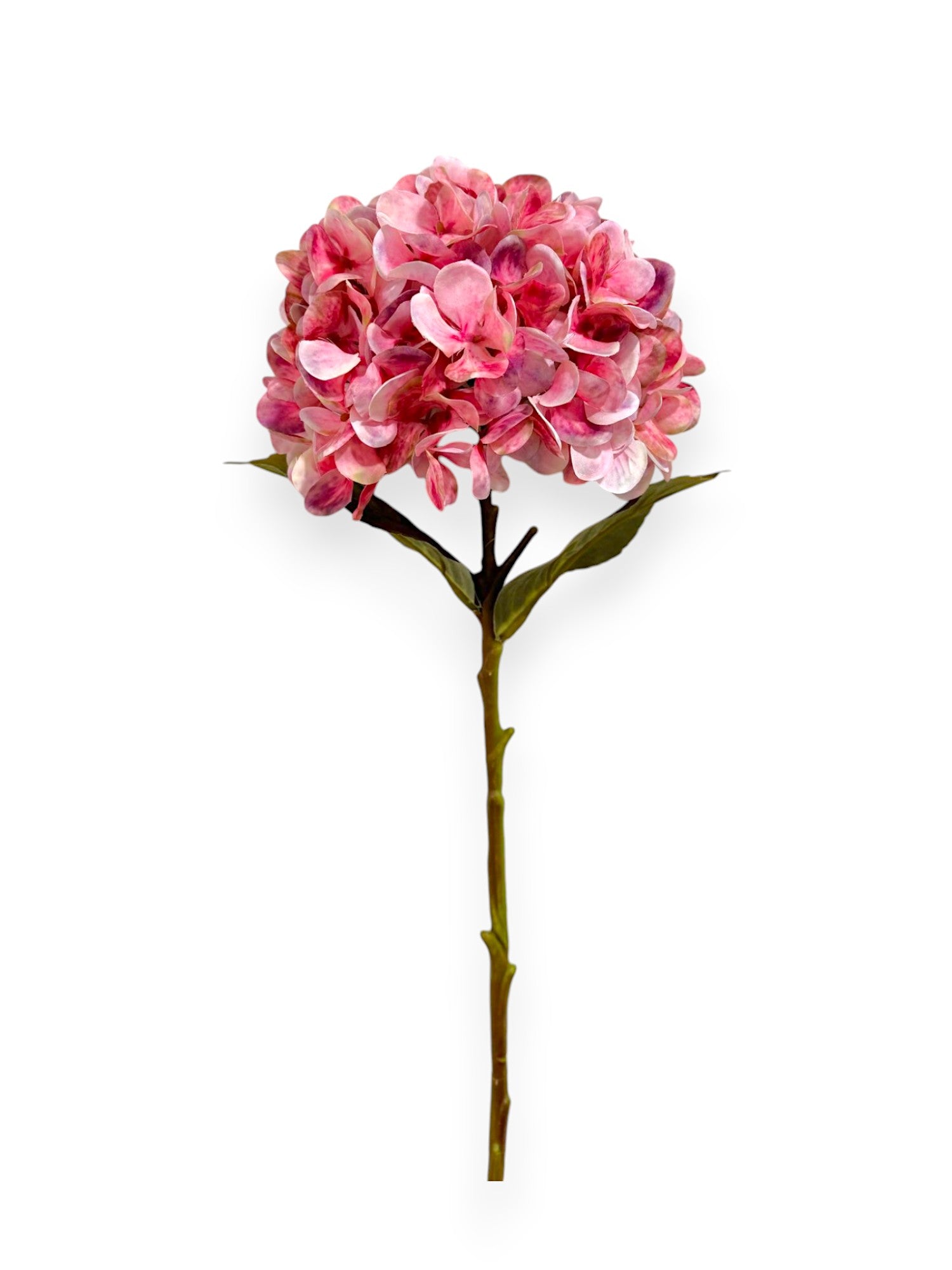 HYDRANGEA STEM 20"