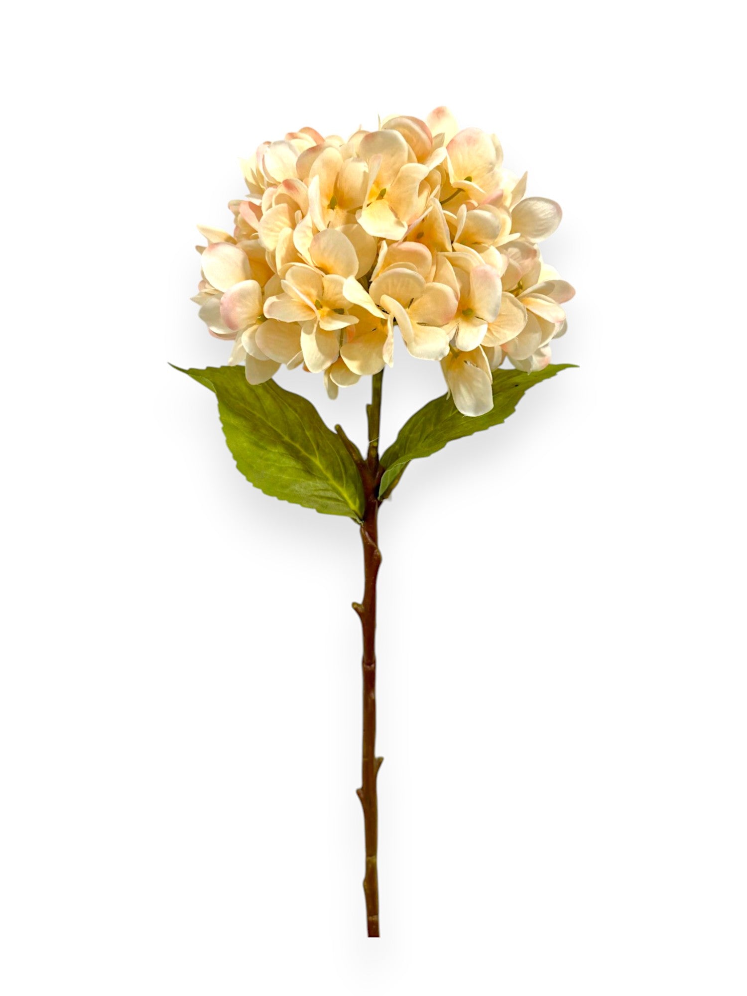 HYDRANGEA STEM 20"