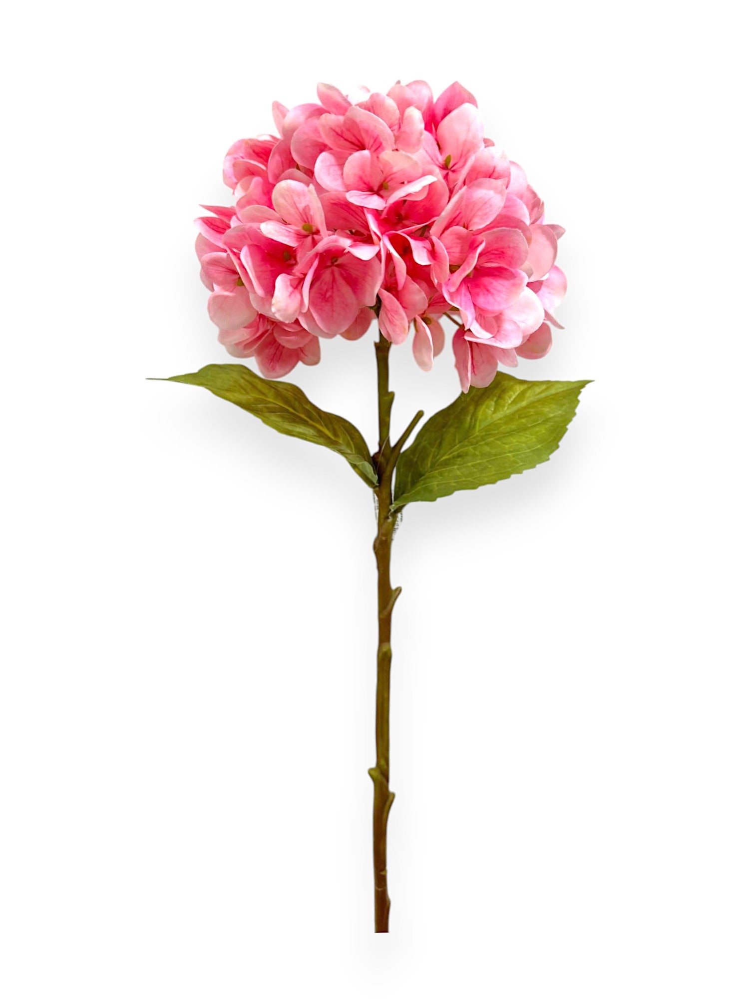 HYDRANGEA STEM 20"