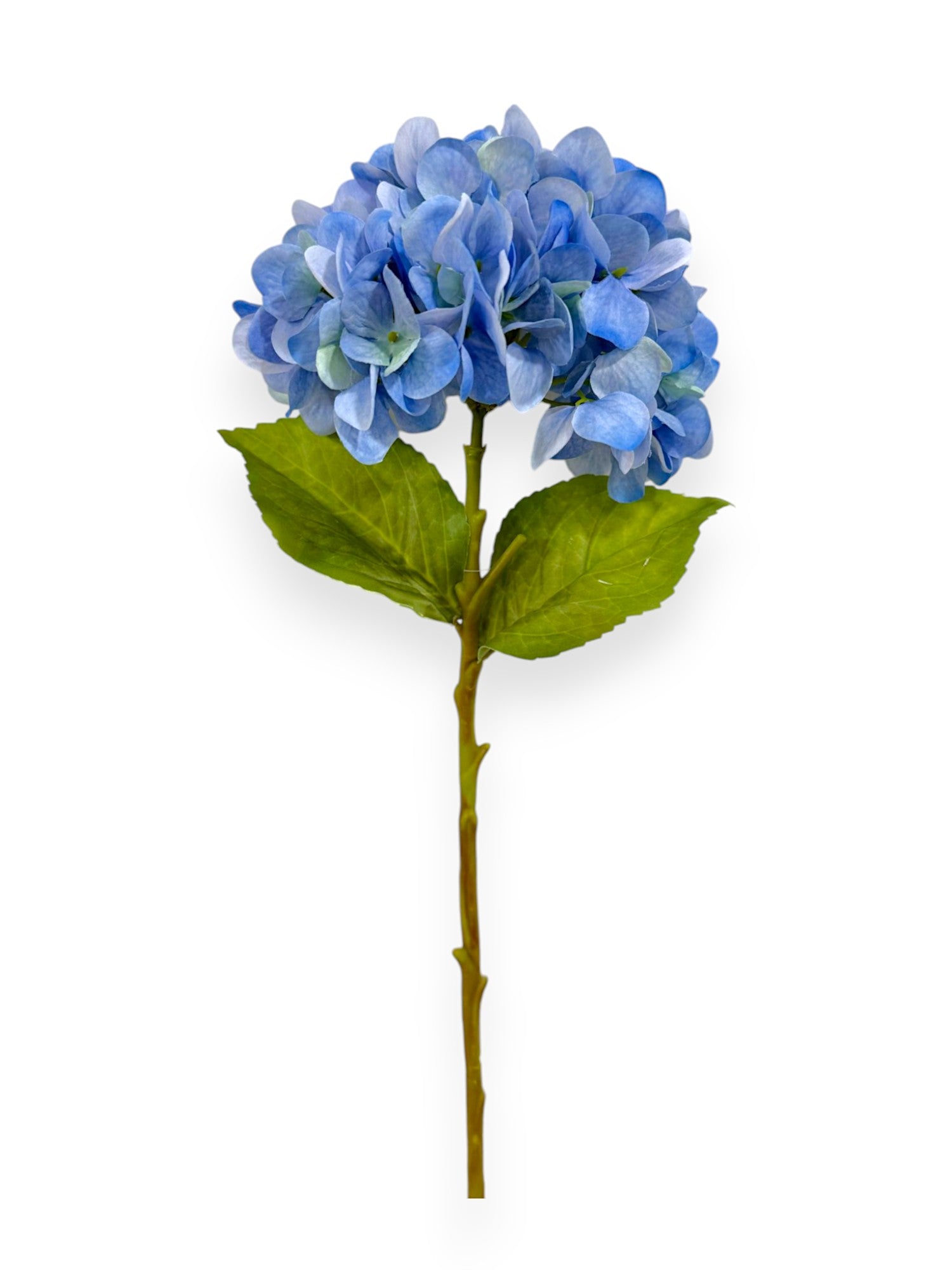 HYDRANGEA STEM 20"