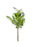 DUSTY MILLER STEM 12"