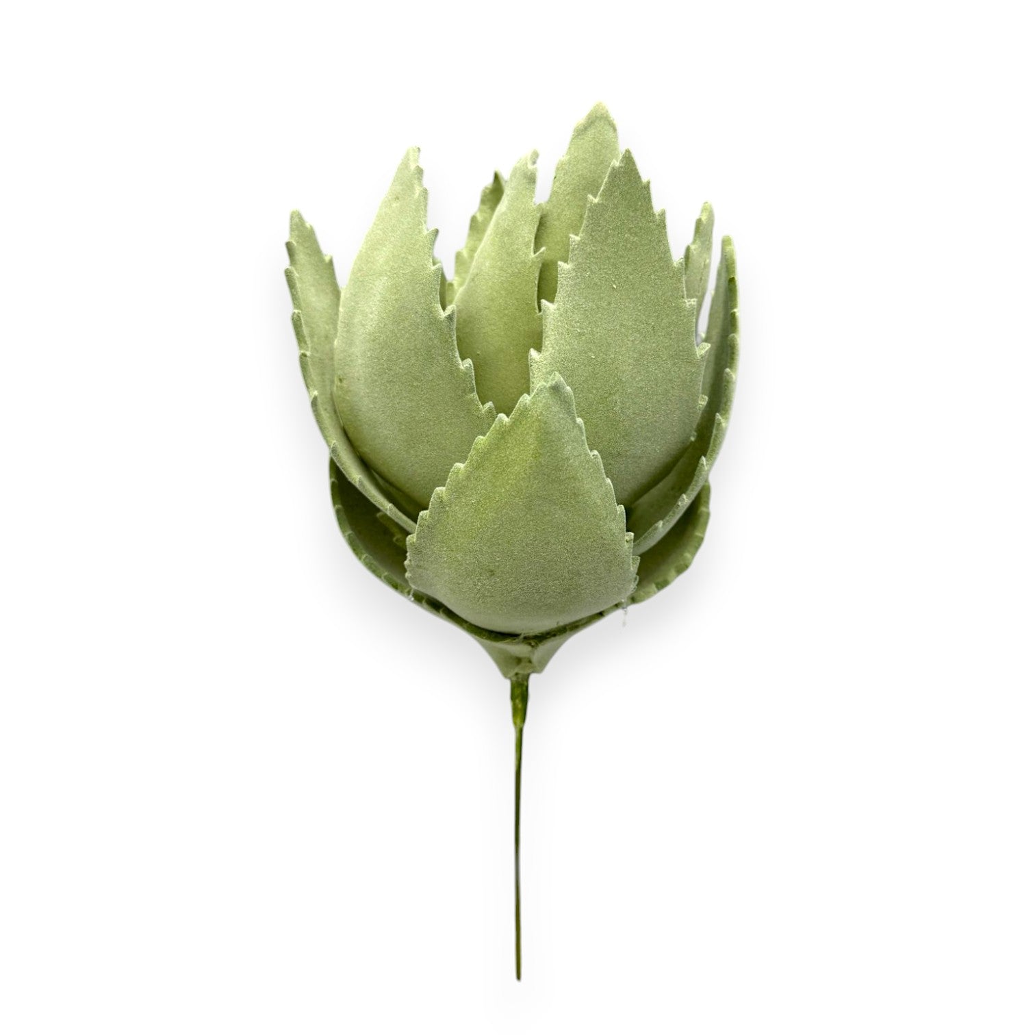 FOAM AGAVE 12"