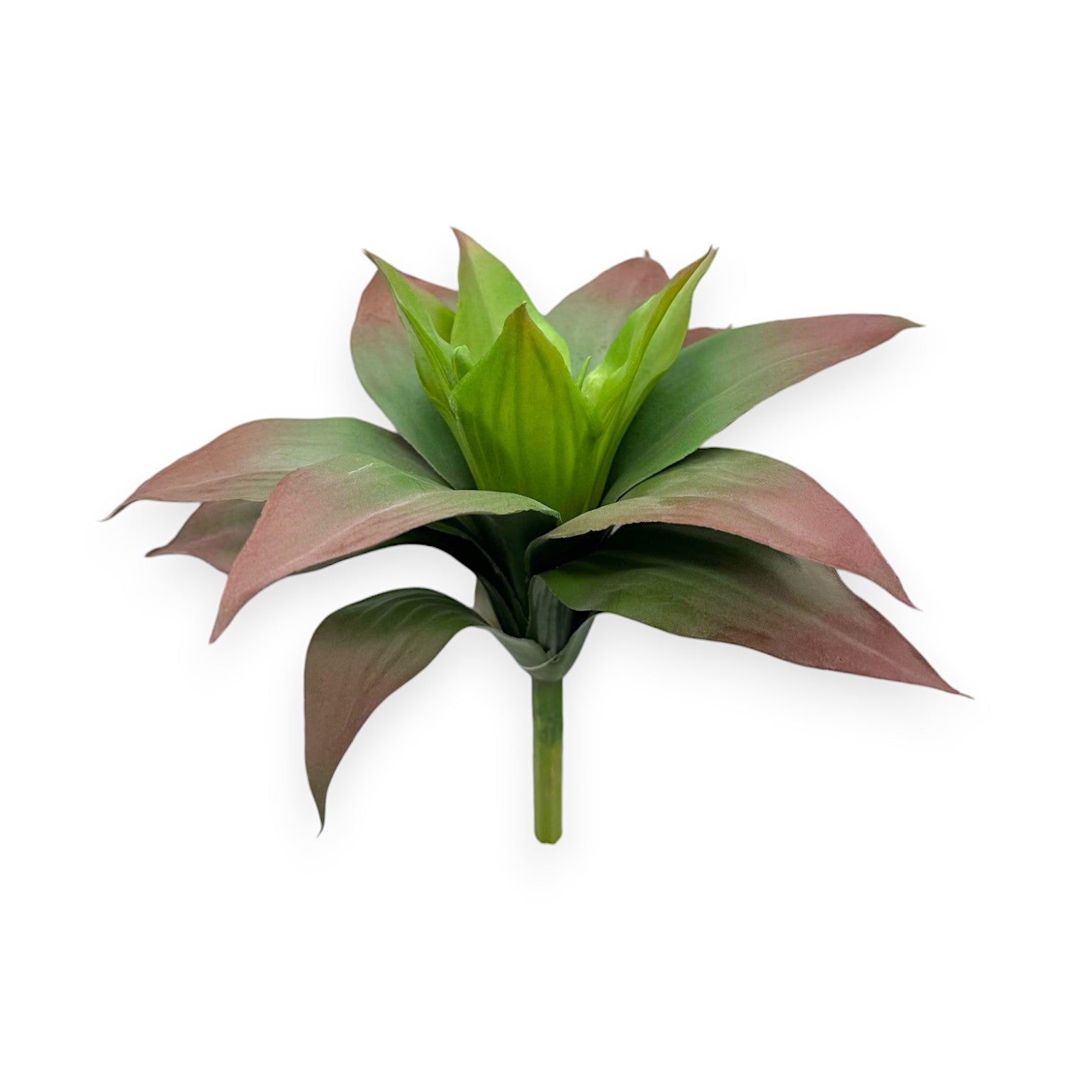 AGAVE PLANT 11"