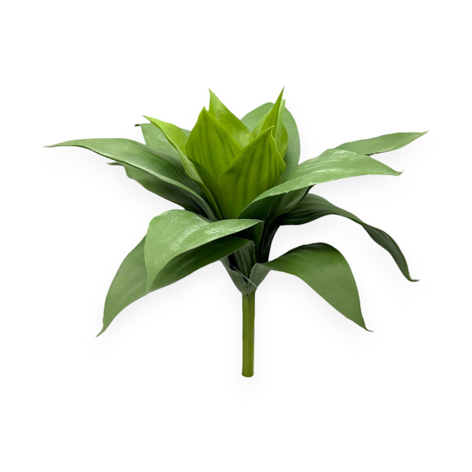 AGAVE PLANT 11"