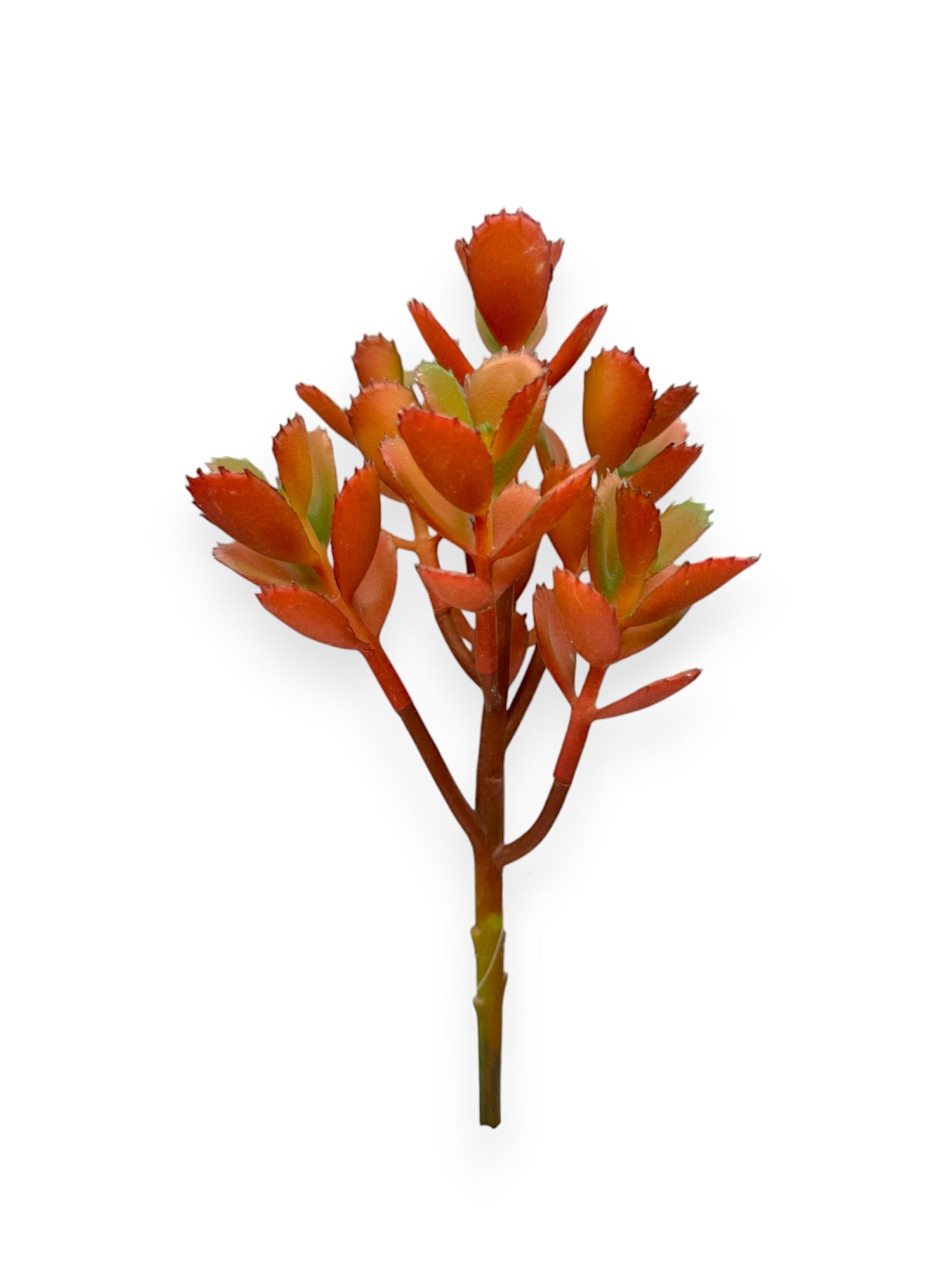 SUCCULENT PICK 8"