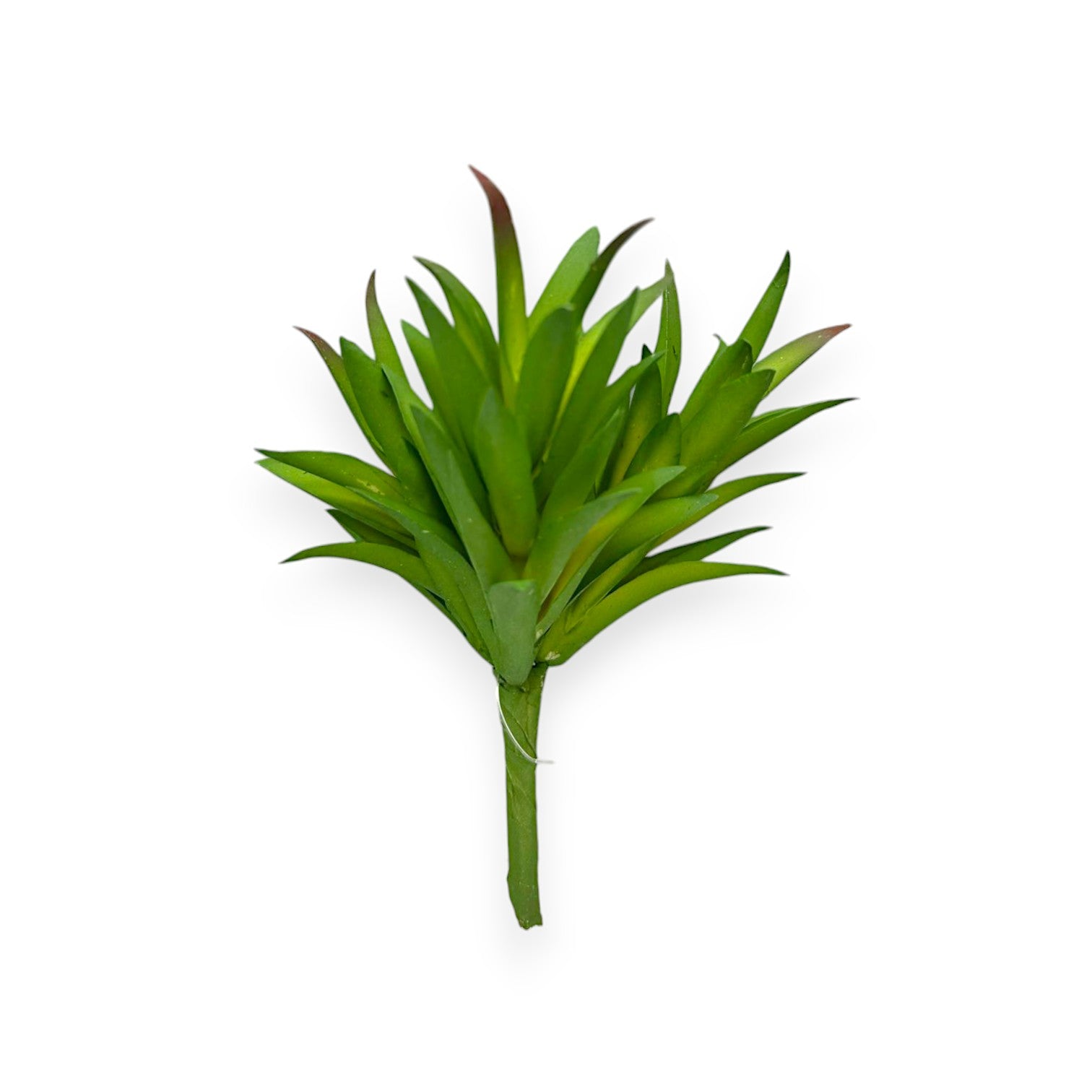 SUCCULENT PICK 5"